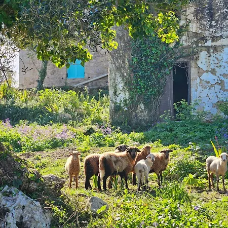 Light & Stone Mediterranean House Vila