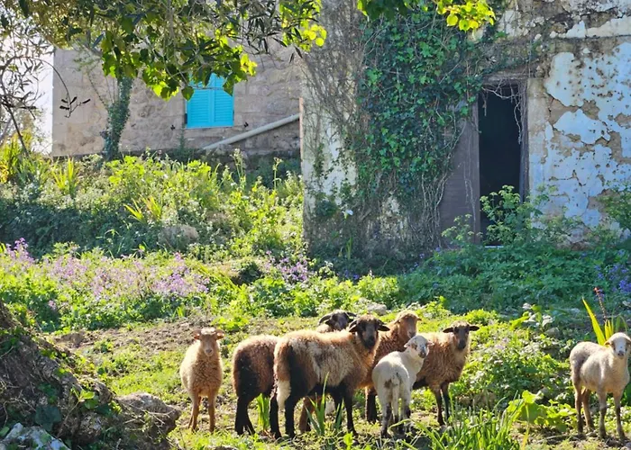 The House. Light & Stone. Βίλα